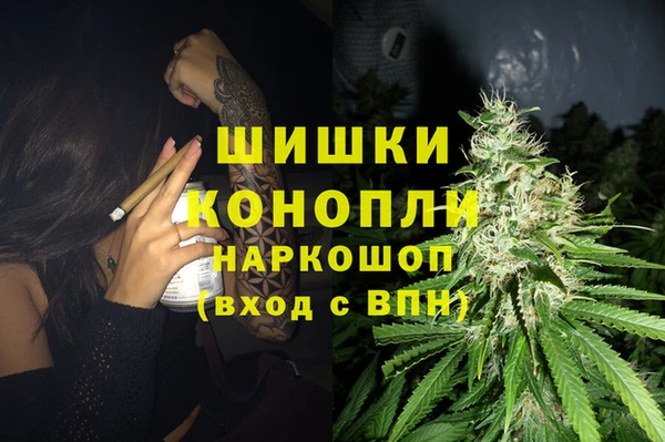 тгк Семилуки
