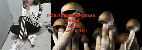 2c-b Абаза
