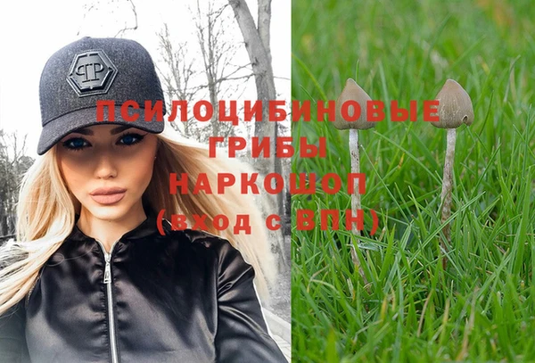 дурь Абдулино