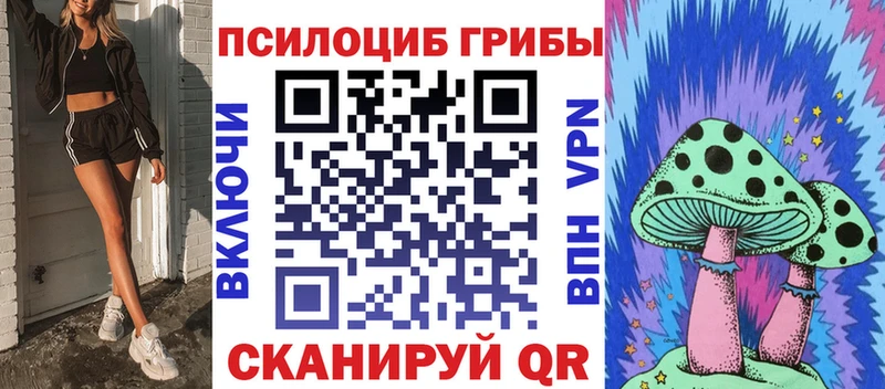 Псилоцибиновые грибы прущие грибы  магазин продажи наркотиков  Каменск-Шахтинский 