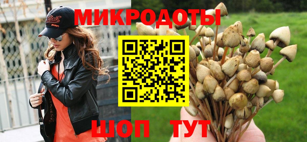 Галлюциногенные грибы Psilocybine cubensis  Вход с VPN  Каменск-Шахтинский 