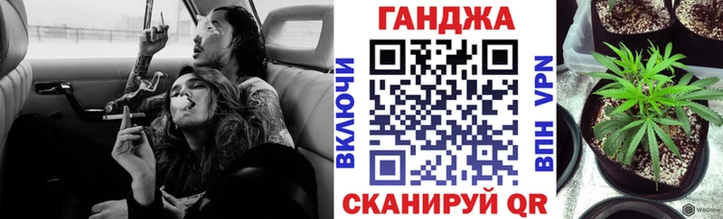 как найти   Каменск-Шахтинский  МЕГА ТОР  Канабис сатива 